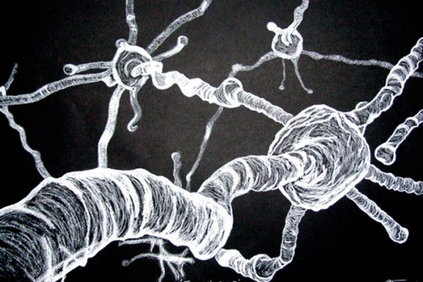 Jimmy Neuron II