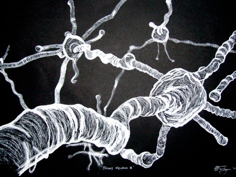 Jimmy-Neuron-II