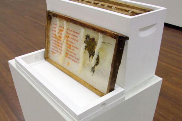 T315 #1 The Hive Book