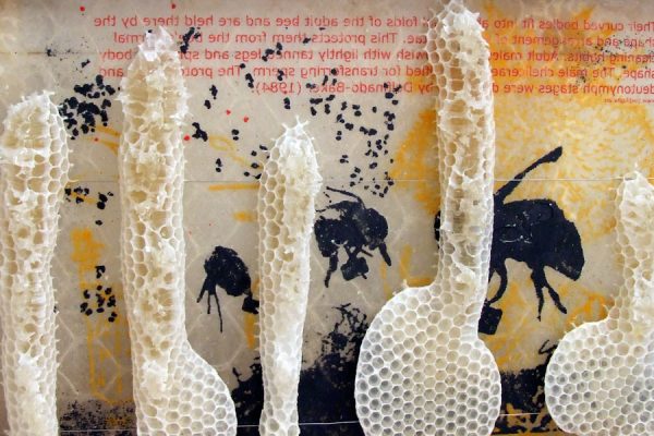 Hive Print II